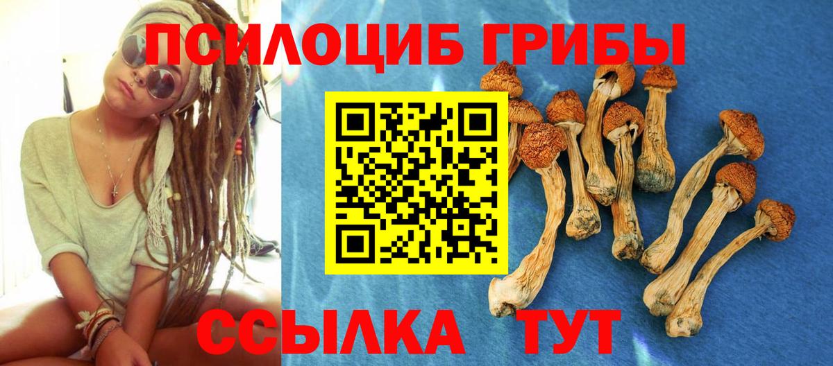 Галлюциногенные грибы мицелий Аша