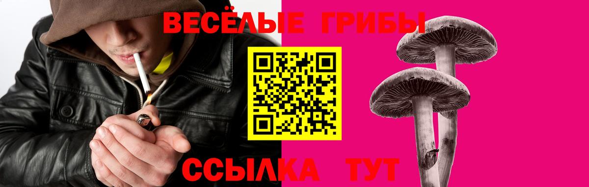 Аша  купить  сайты  Вход с VPN  Галлюциногенные грибы GOLDEN TEACHER 